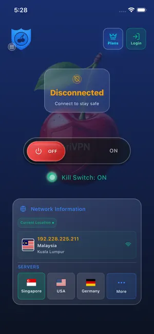 CeriVPN screenshot 2