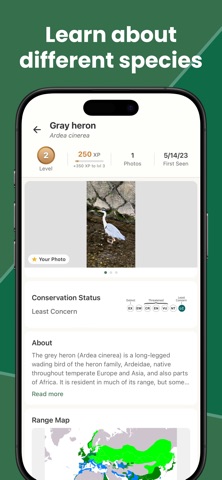 BirdDex: Identify & Collect screenshot