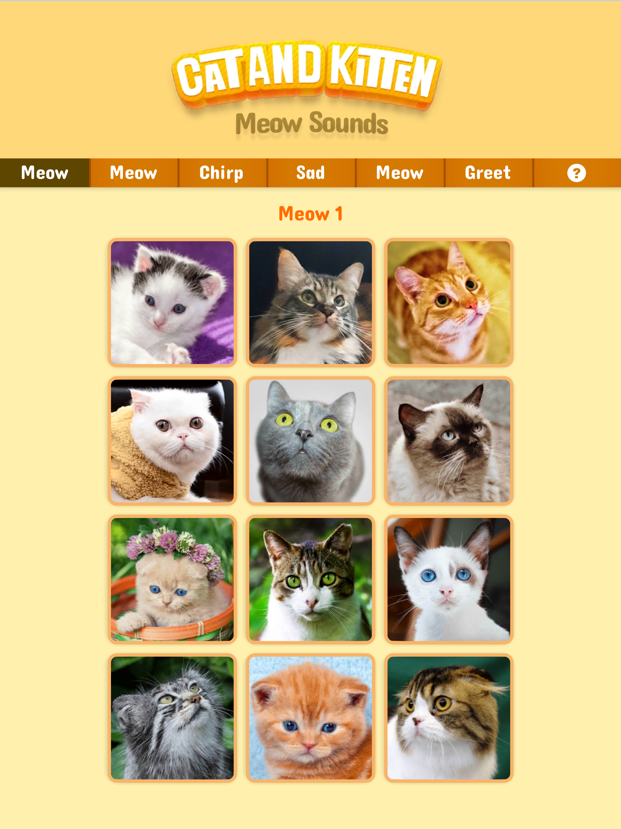 Cat & Kitten Meow Sounds