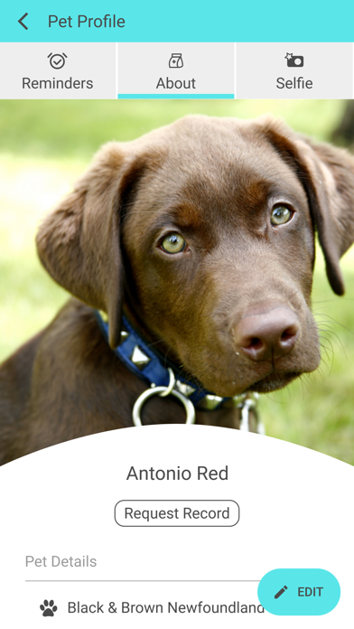 Pacific Animal Hospital MO iPhone screenshot 3 - Business app