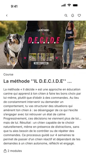 Intervention Calin screenshot 3