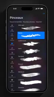 procreate pocket iPhone Captures Décran 2