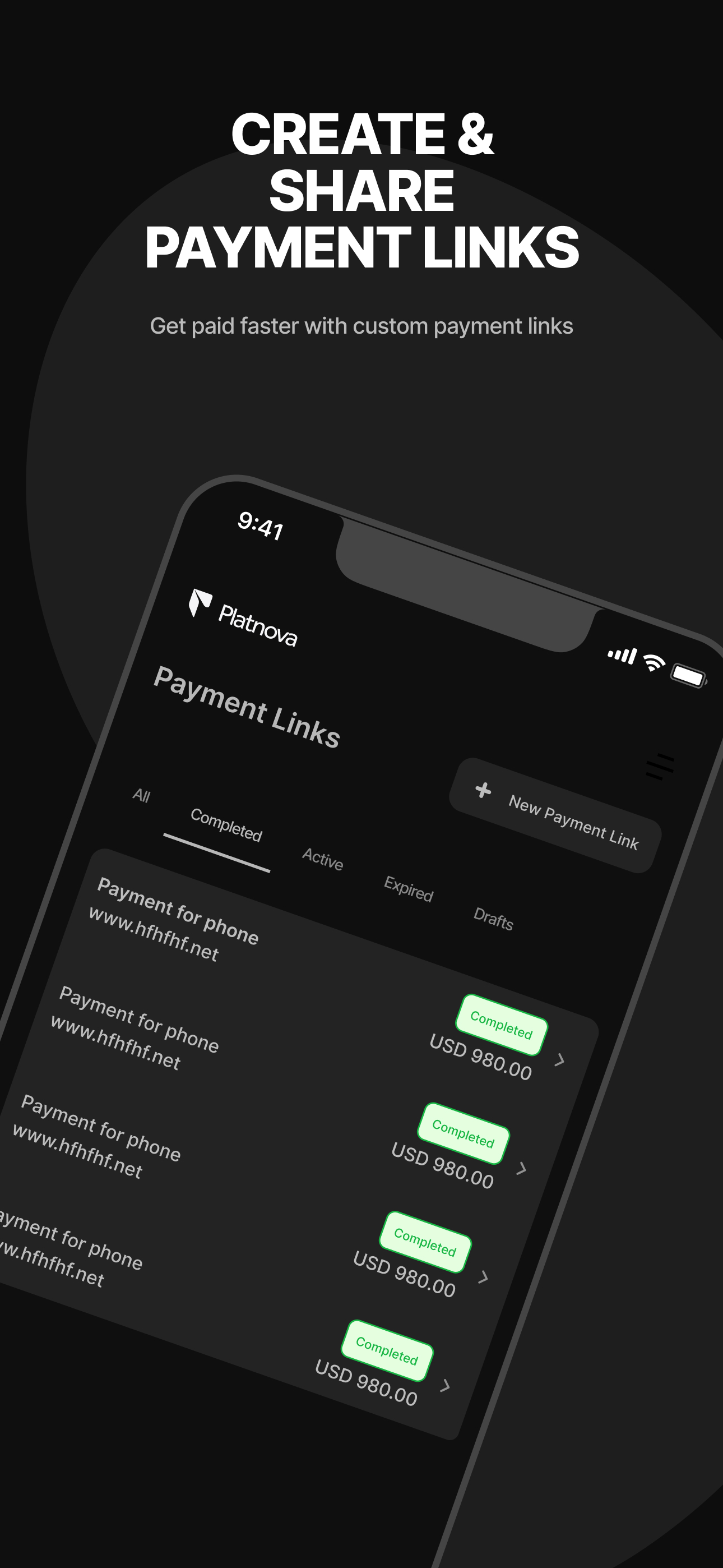 Platnova Business