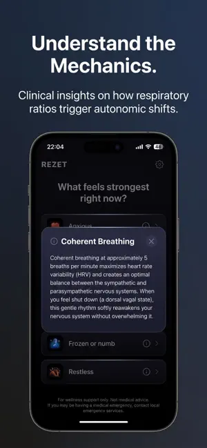 REZET - Nervous System Toolkit screenshot 4