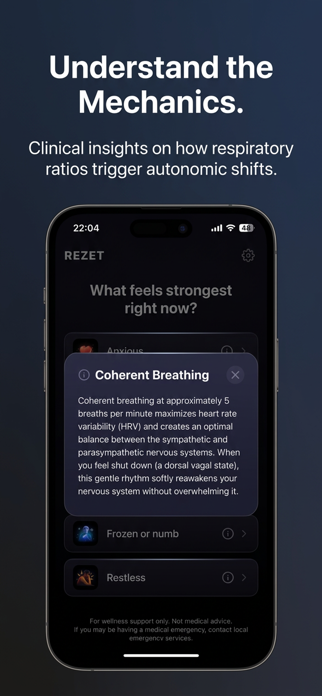 REZET - Nervous System Toolkit Screenshot 4 of 7