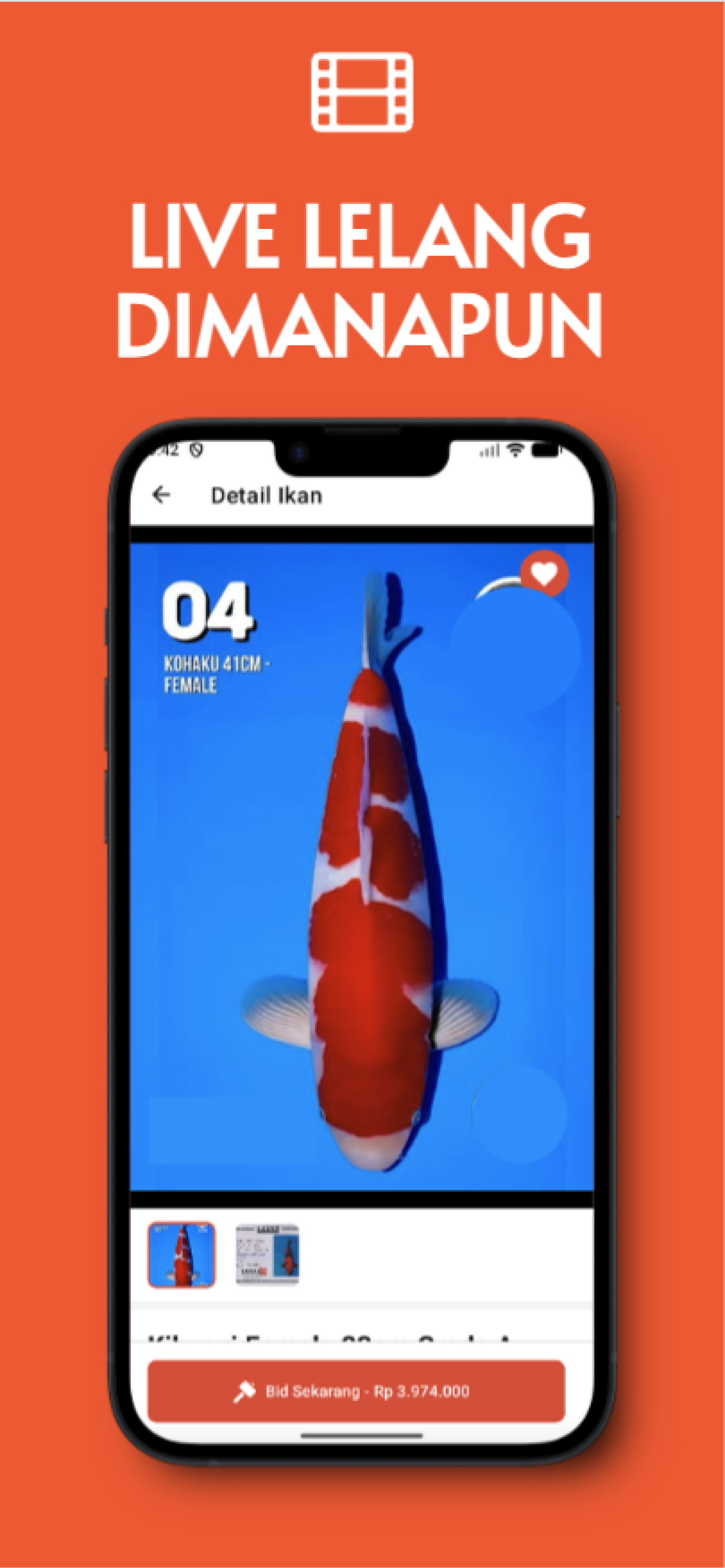 LelangApp - Lelang Koi