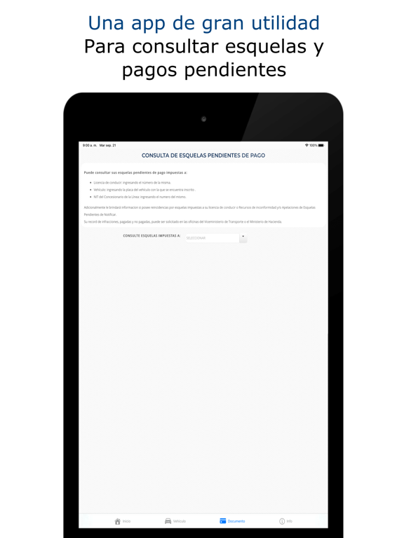 Consulta Información vehículo iPad screenshot