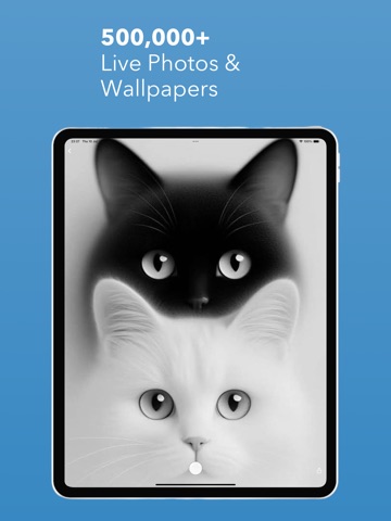 PhotoX Pro: 4K Live Wallpapers iPad screenshot
