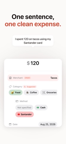 Sonanta: Voice expenses iPhone screenshot