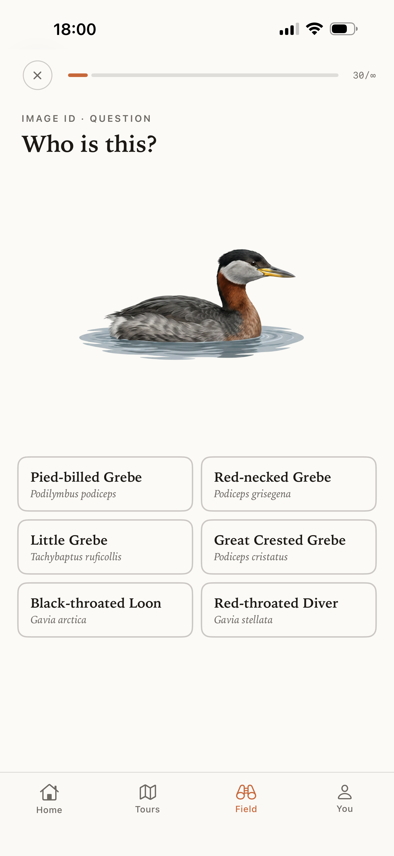 Nestling screenshot 3