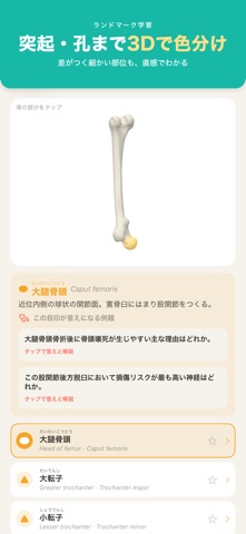 应用截图 7