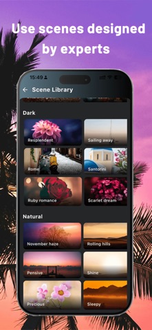 trytogo screenshot