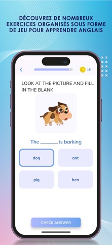 Dictionnaire Français Anglais+ screenshot