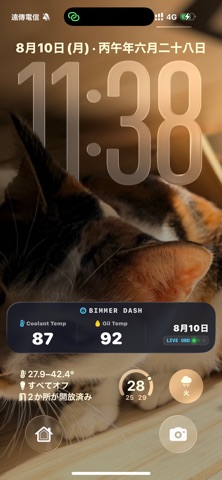 BimmerDash: OBD2 Gauge Screenshot 4 of 7