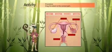 Human Reproductive System G8 Screenshot 2 of 3