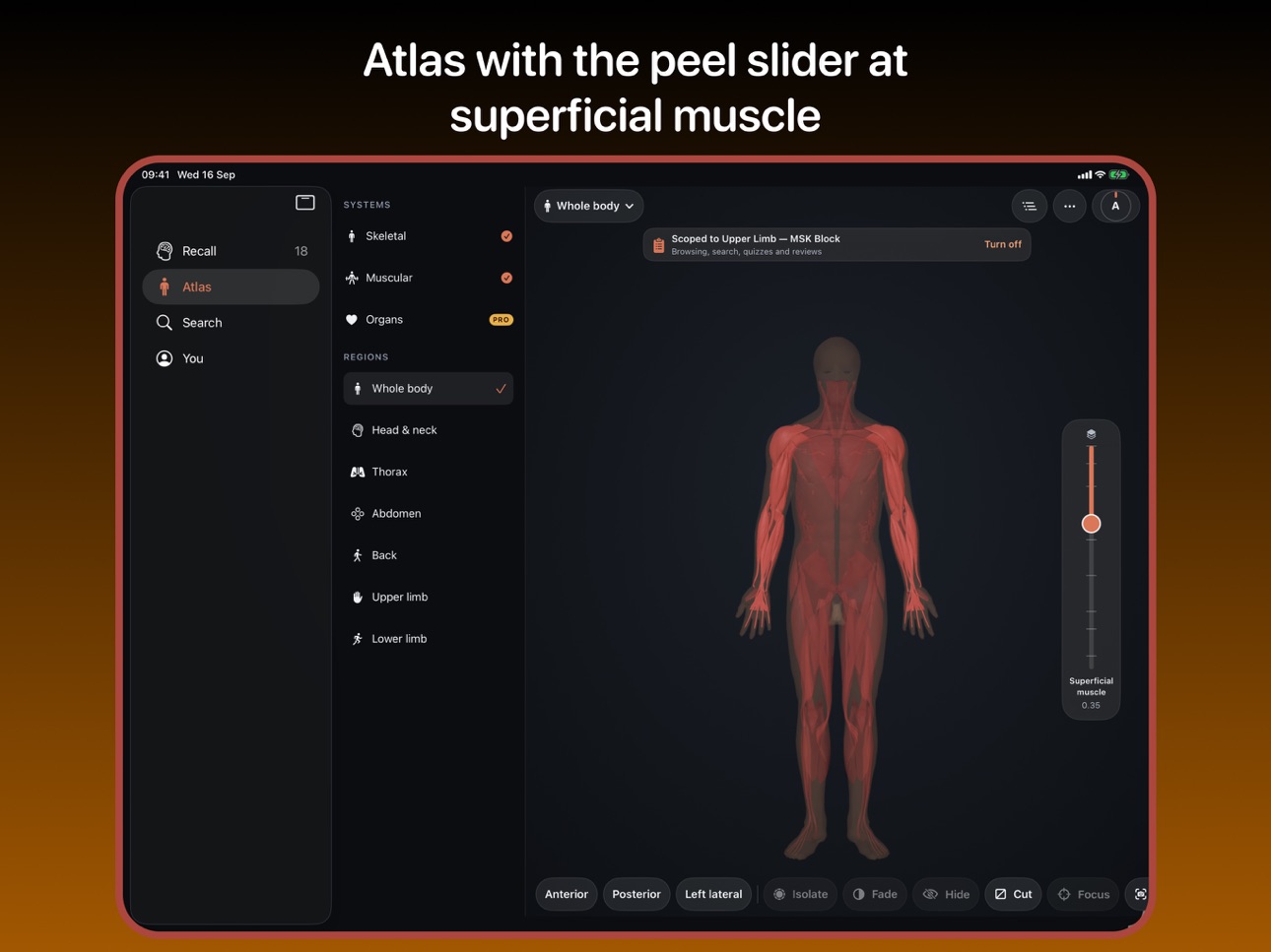 Screenshot 6 of 3D Anatomy Learning: Somavue