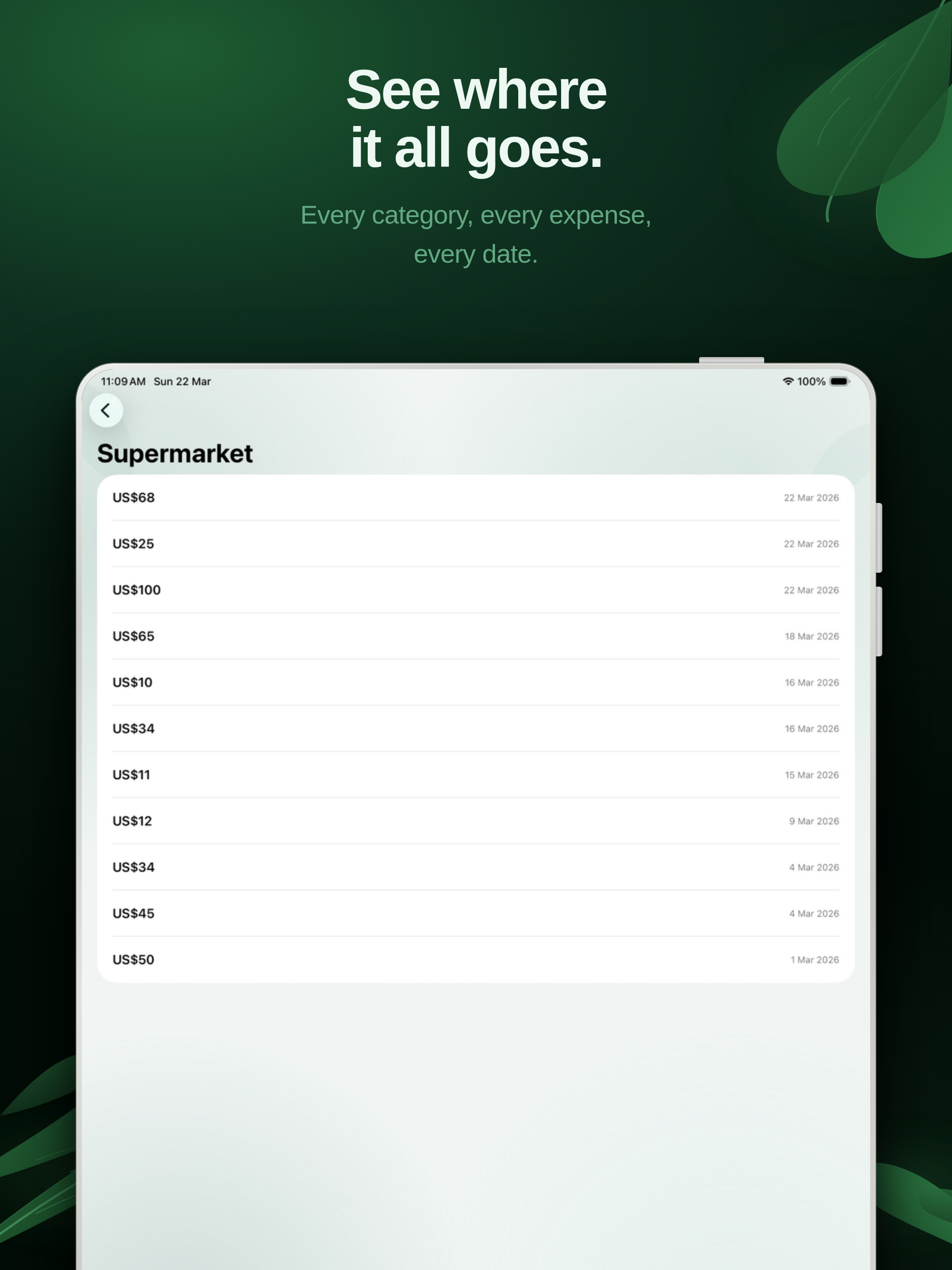 Lira: Expense Tracker