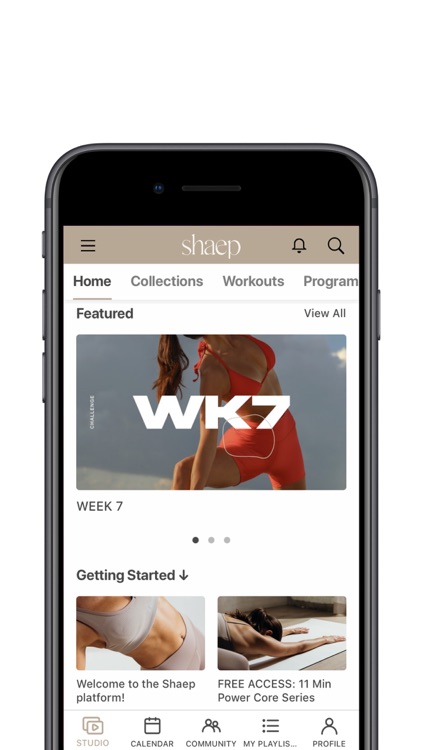 shaep by Kelsey Rose