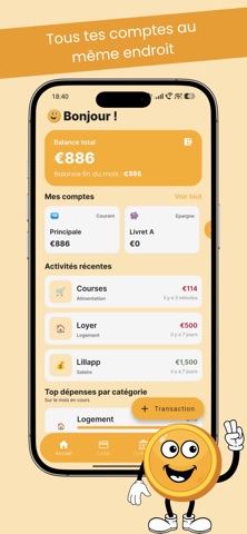 Paco - App de Bugdet iPhone screenshot