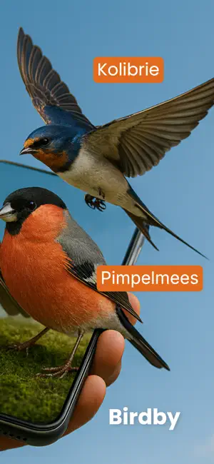 Vogels Herkennen AI - Birdby iPhone screenshot 2