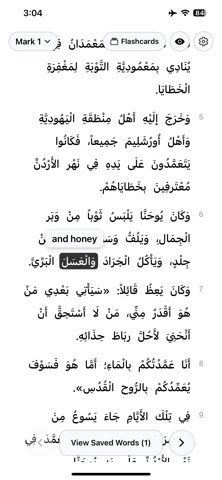 Kingdom Arabic Screenshot 3 of 6