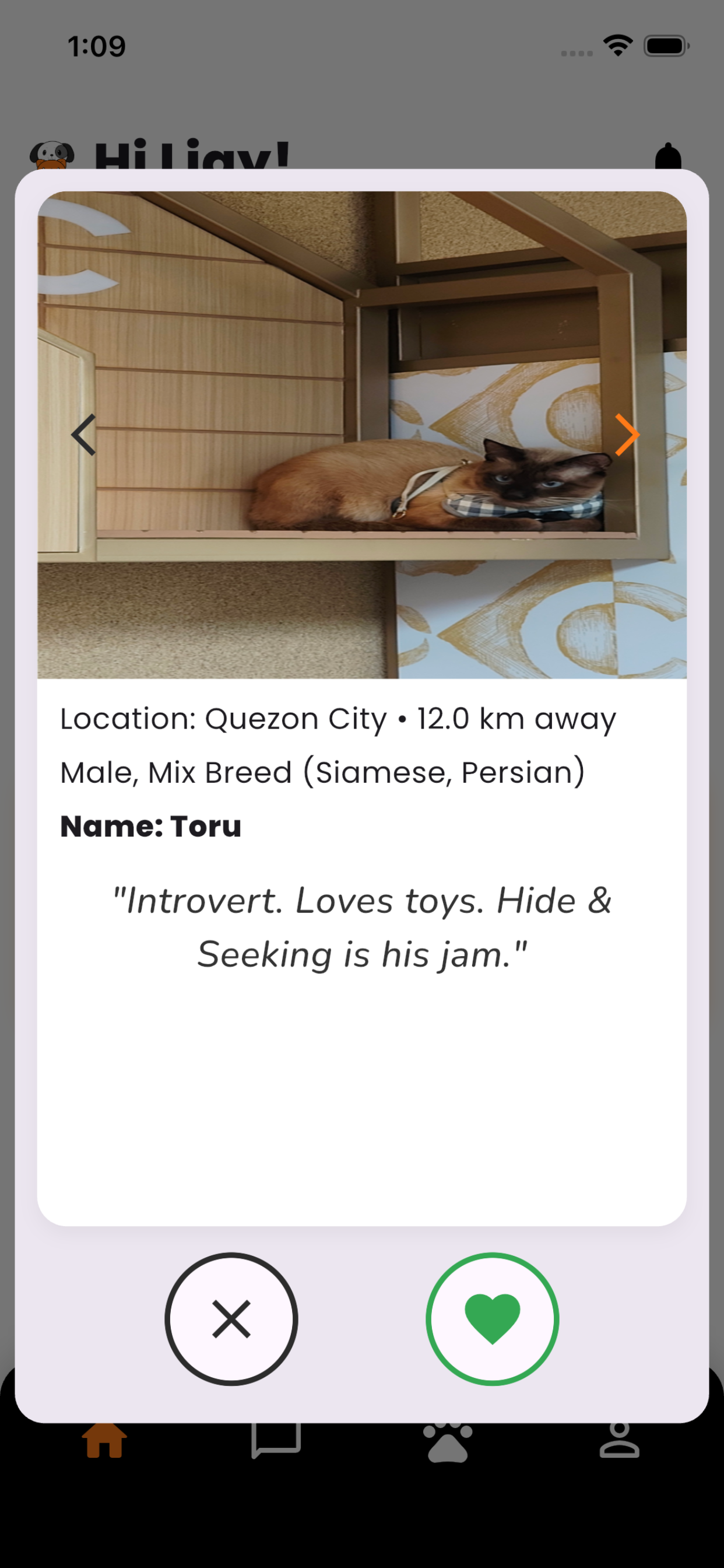 Furpair screenshot 4