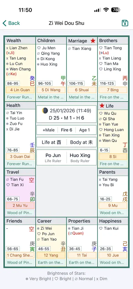 Zi Wei Dou Shu Astrology screenshot 4