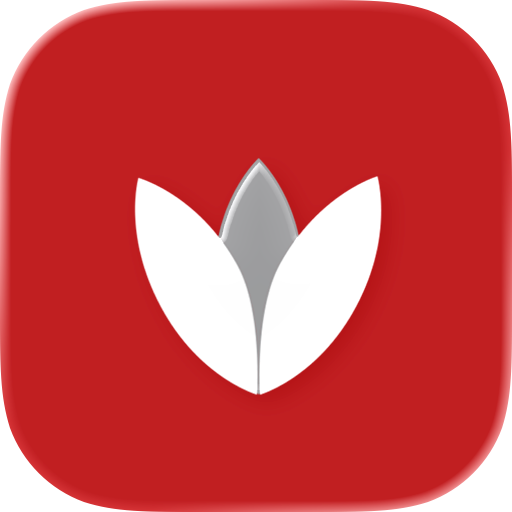 Microcredit