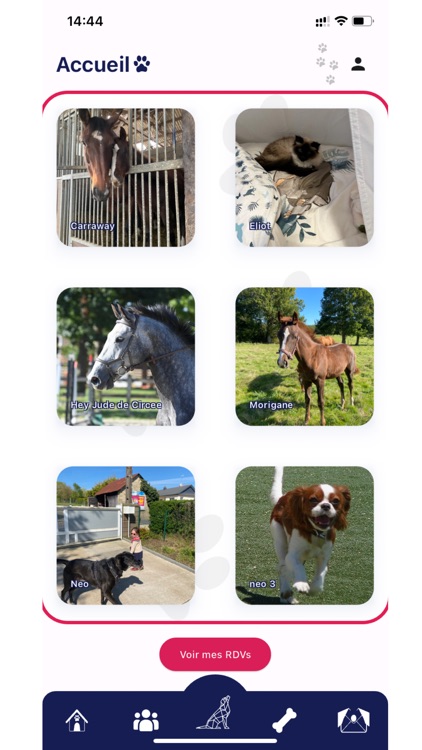 NeoVoice App screenshot-8