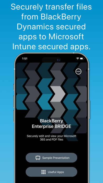 BlackBerry Enterprise BRIDGE Screenshot