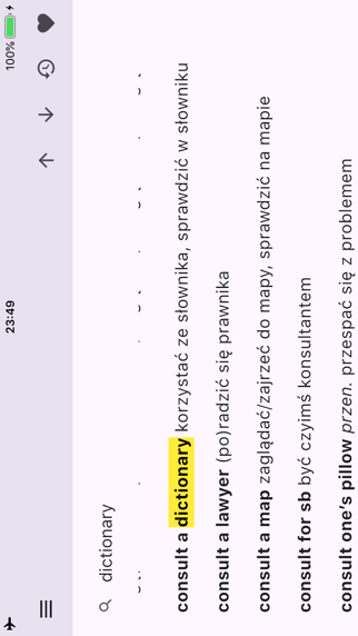 Screenshot #2 pour Wielki słownik