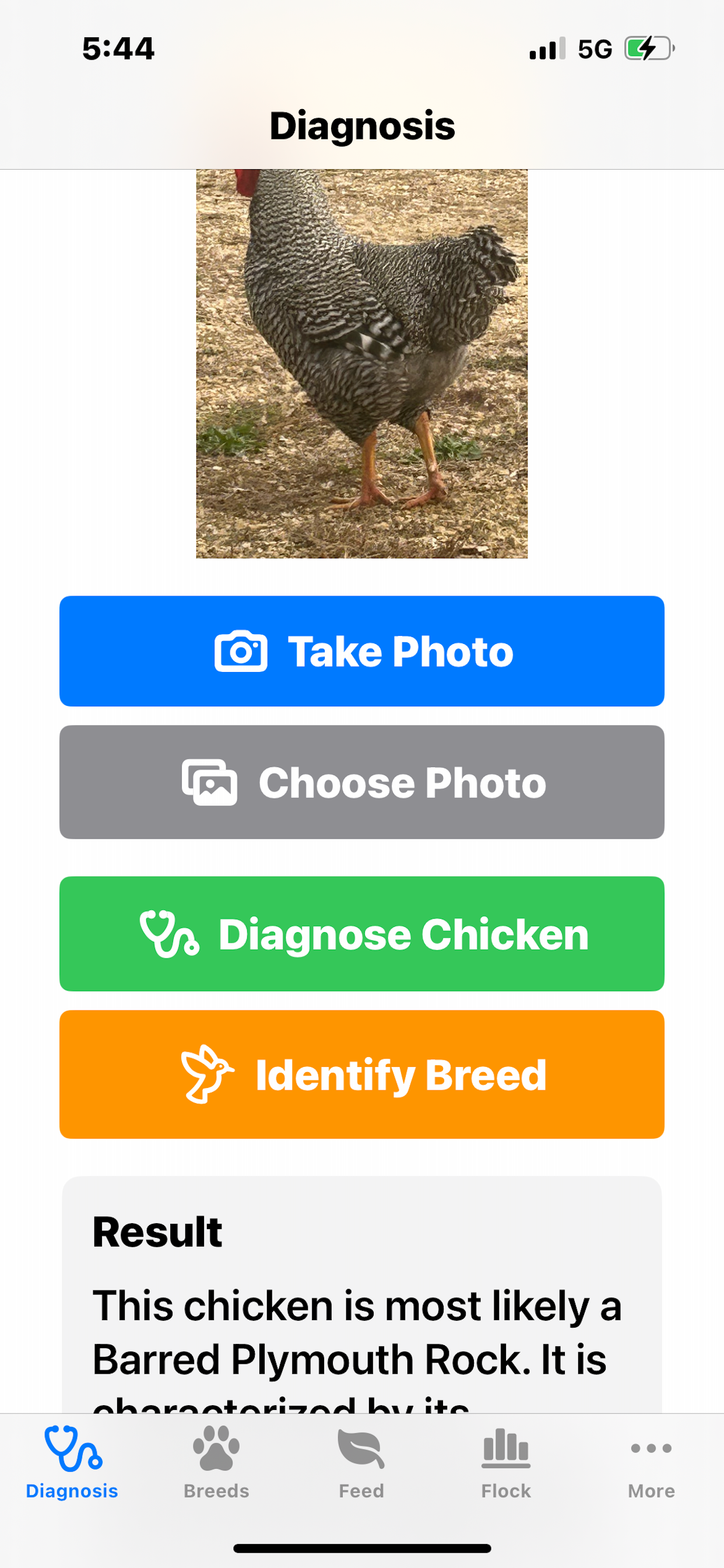 CluckDoc screenshot 2