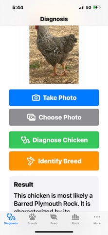 CluckDoc screenshot