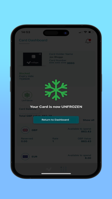 Volopa Business Screenshot