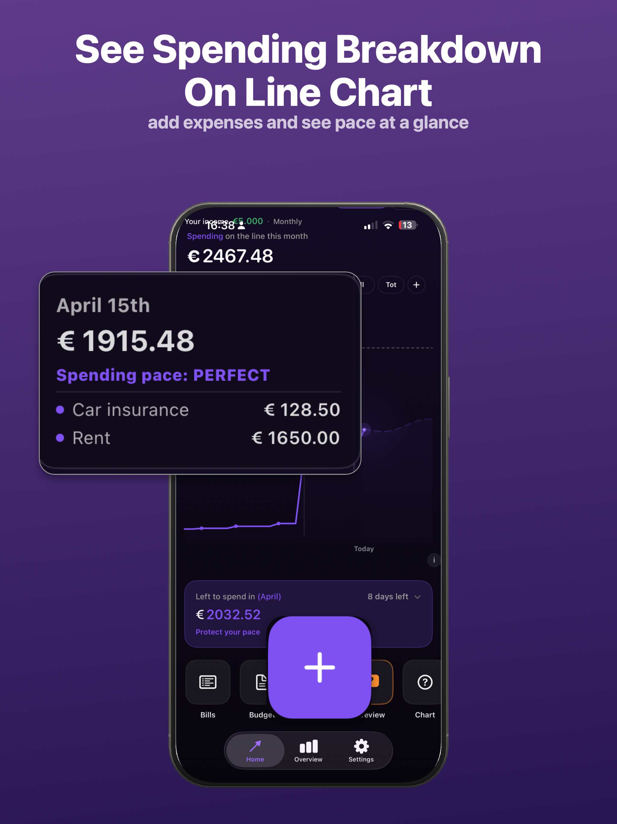 Budget Line screenshot 11