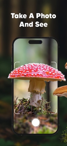 Mushroom Identifier : Fungis iPhone screenshot