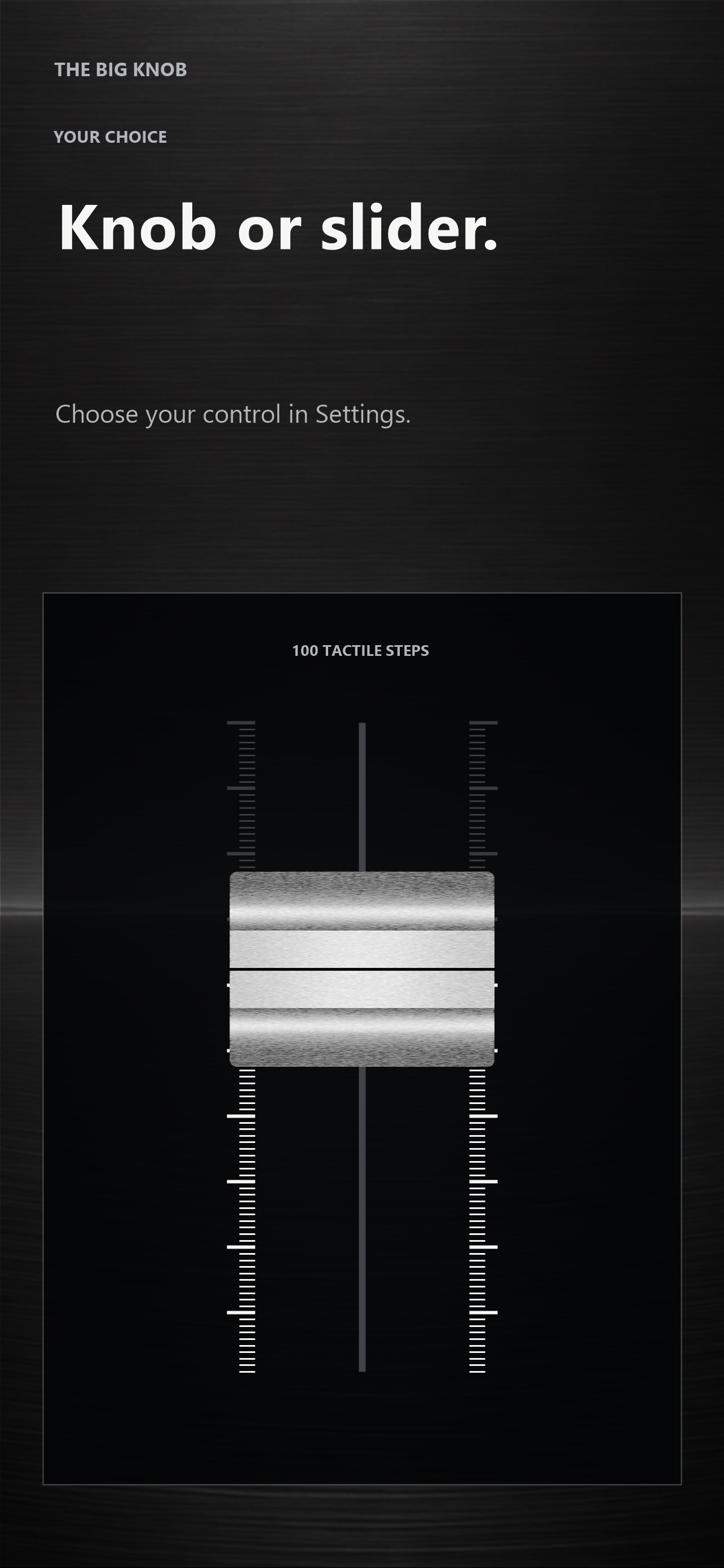 Screenshot 3 of The Big Knob