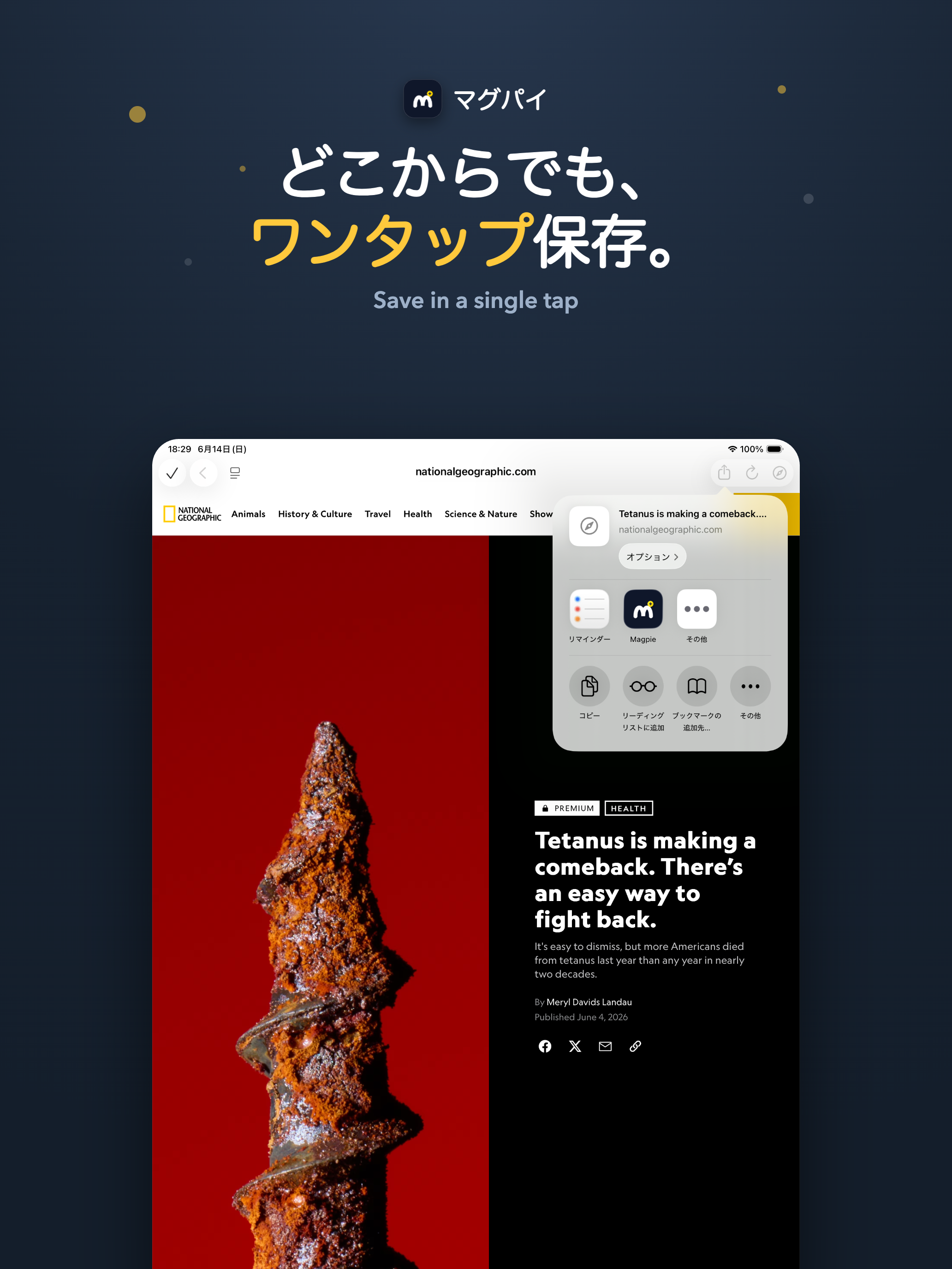 マグパイ screenshot 6