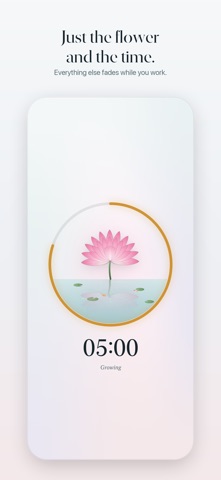 Bloom Pomodoro screenshot 6
