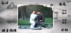 The 64 Hands of Bagua Zhang screenshot 4