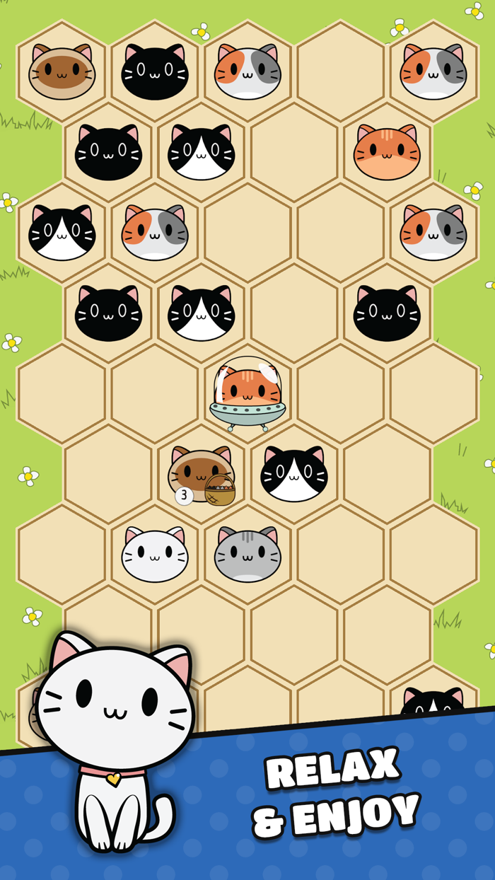 Cute Puzzle Hex Cat