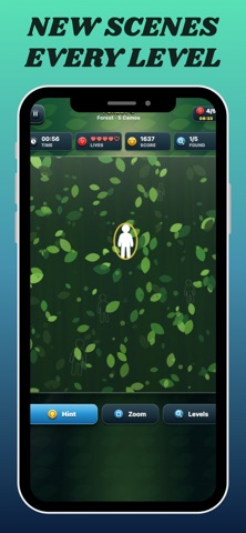 Find the Camouflage Screenshot 4 of 6