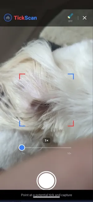 TickScan screenshot 3