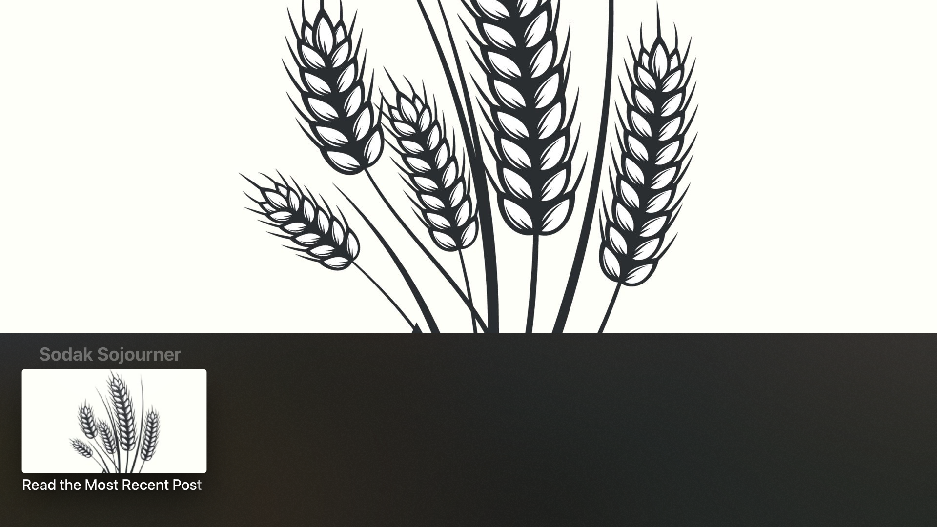 Grace Bible Church SD screenshot 8