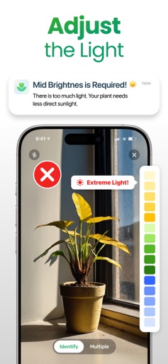 Plant App - Plant Identifier screenshot 6