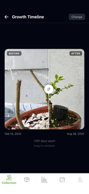 BonsaiNikki – Bonsai Journal screenshot 4