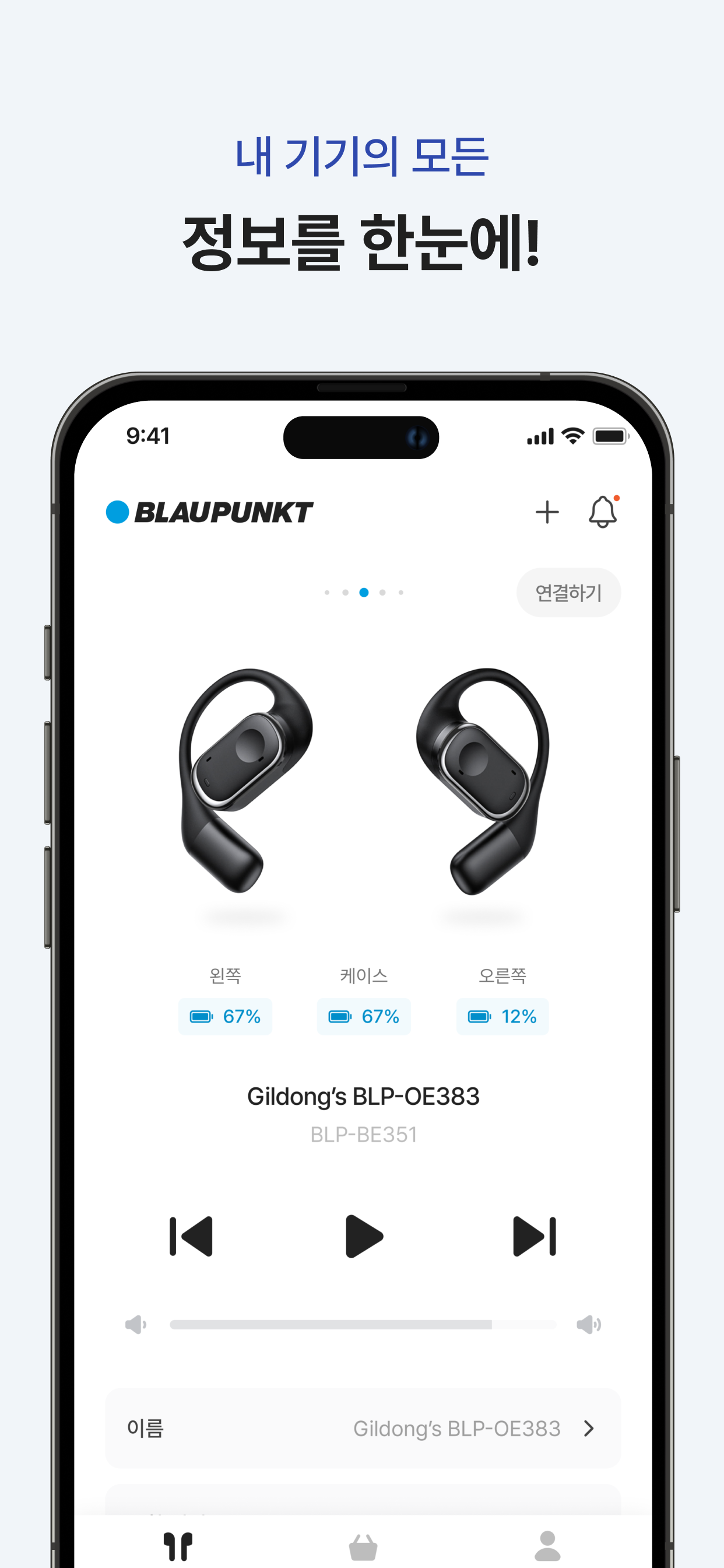 블라우풍트