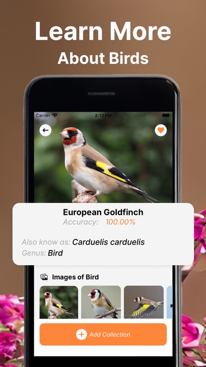 Bird Call Identifier Sounds ID screenshot-3