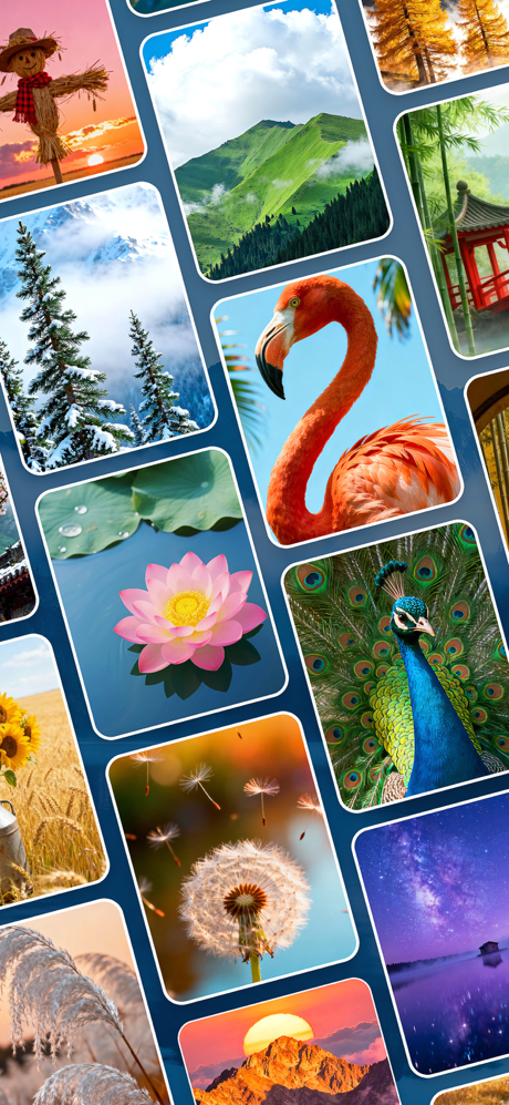 Jigmatch - Solitaire Puzzle screenshot 5
