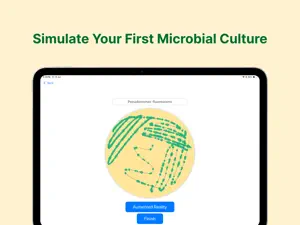StreakLab! – Microbiology Lab screenshot 1